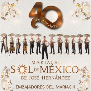 Download track Un Gran Amor Mariachi Sol De Mexico De Jose Hernandez