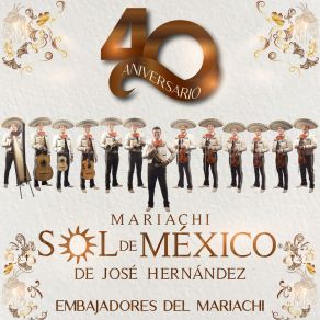 Download track De México Con Amor Y El Son Del Pasacalle Mariachi Sol De Mexico De Jose Hernandez