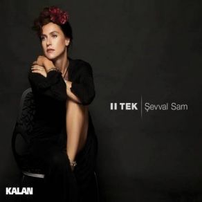 Download track Ayrılık Yaman Kelime Şevval Sam