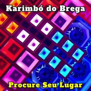 Download track Só Deus Sabe Karimbó Do Brega