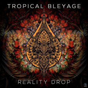 Download track Shifting Beauty (Original Mix) Tropical Bleyage