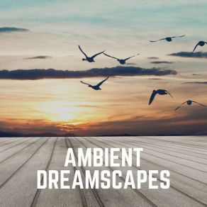 Download track Peaceful Vibes For Soothing Thoughts, Pt. 8 Ambient Music Collective