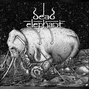 Download track Heavy, Huge And Rotten Dead Elephant