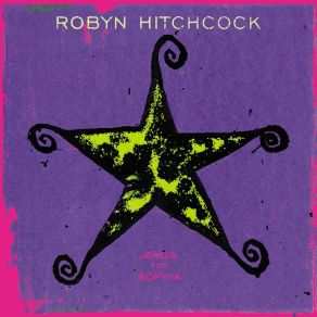 Download track Sally Was A Legend (Album Version) Robyn Hitchcock