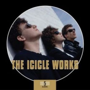 Download track Love Is A Wonderful Colour Icicle Works