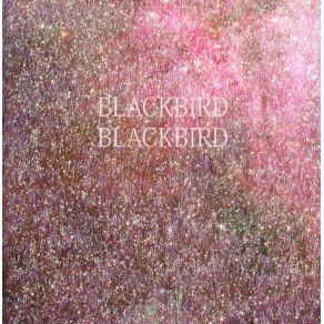 Download track Summer Heart Blackbird Blackbird