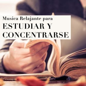 Download track Música Para Estudiar Musica Para EstudiarMeditation Weekend