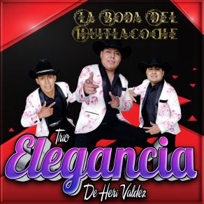Download track Carnavaleando Trío Elegancia De Heri Valdez