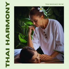 Download track Soft Nights Thai Massage Music