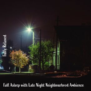 Download track Fall Asleep With Late Night Neighbourhood Ambience, Pt. 1 Steve Brassel