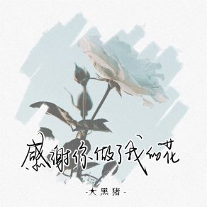 Download track 感谢你做了我的花 大黑猪