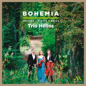 Download track Smetana: Piano Trio, Op. 15: I. Moderato Assai - Più Animato Helios Trio