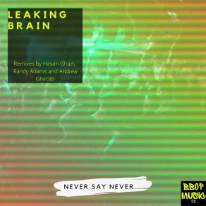 Download track Never Say Never (Hasan Ghazi Remix) Leaking BrainHasan Ghazi