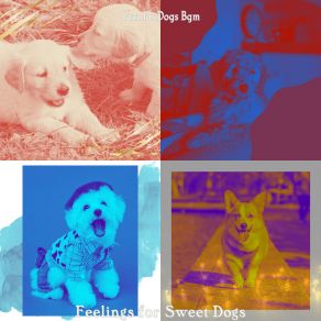 Download track Background For Relaxing Puppies Jazz For Dogs Bgm