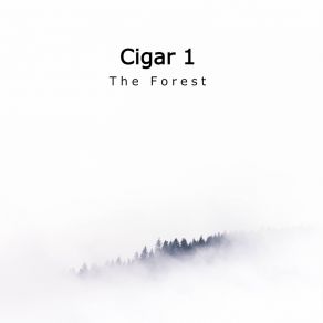 Download track The Forest (Cut Mix) Cigar 1