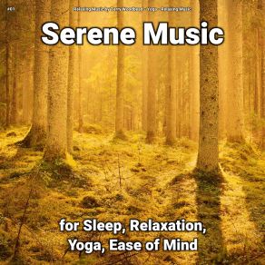 Download track Beautiful Ambient Music For Joy Relaxing Music