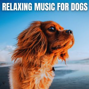 Download track Real Form Of Love Are Dogs The Peaceful Garden