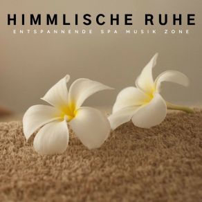 Download track Leise Harmonie Entspannende SPA Musik Zone