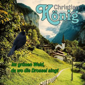 Download track Im Grünen Wald, Da Wo Die Drossel Singt Christian Konig