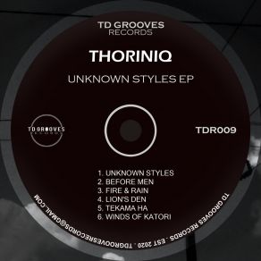 Download track Unknown Styles (Original Mix) ThoriniQ