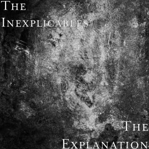 Download track The Inexplicably Sharp Bag The Inexplicables