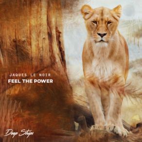 Download track Feel The Power (Original Mix) Jaques Le Noir