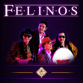 Download track Jambalaya Los Felinos