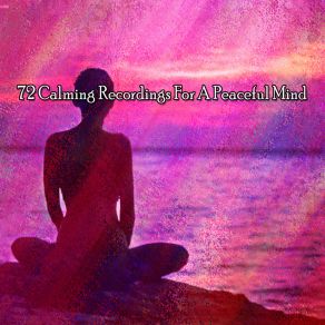 Download track Spiritual Journey Lullabies For Deep Meditation