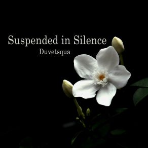 Download track Suspended In Silence Duvetsqua