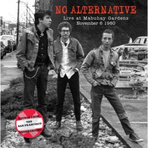 Download track Working Class Boy No Alternative