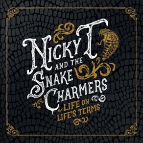 Download track Driving Sideways The Snake Charmers, Nicky T