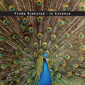 Download track In Essence Frode Kjekstad