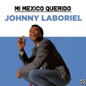 Download track La Niña Pop (I'm Gonna Make You Mine) Johnny Laboriel