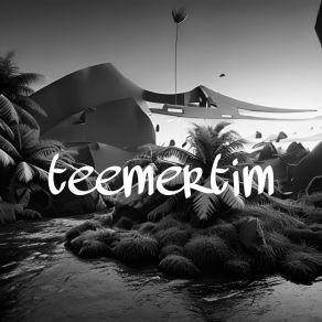 Download track Techno Teemertim