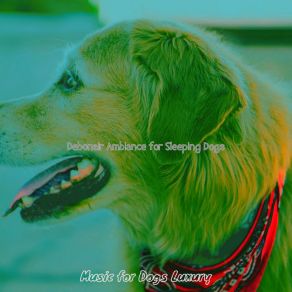 Download track Incredible Backdrops For Lonely Dogs Music For Dogs Luxury