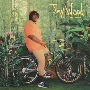 Download track Tulips Jaywood