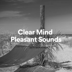 Download track Clear Mind Pleasant Sounds, Pt. 18 The White Noise