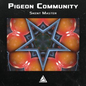 Download track Long Road Pigeon Community