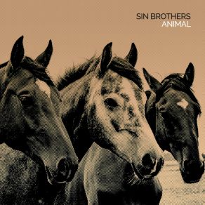 Download track Camino A Casa Sin Brothers