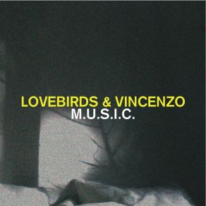 Download track Lovebirds & Vincenzo - Electric Girl Vincenzo, The Lovebirds