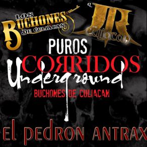 Download track El Pedron Antrax (El JR De Culiacan) Los Buchones