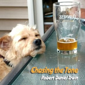 Download track Long Walk The Dog Robert Daniel Irwin