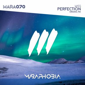 Download track Perfection (Original Mix) Wiss