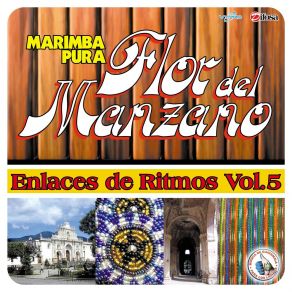 Download track Enlace De Cumbias: Patoja Linda / Tierra Mía / Ligia / Cumbia Jalapaneca Marimba Flor Del Manzano