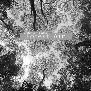 Download track Forest Air Ingertor Stani