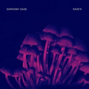 Download track Flow (Original Mix) Shroomy Daze