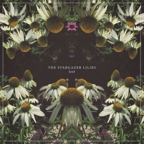 Download track Let It Go The Stargazer Lilies