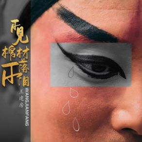 Download track 不见棺材不落泪 (伴奏) 王建房