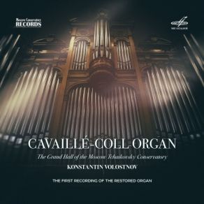 Download track 10. Three Chorals For Organ No. 3, Choral In A Minor, FWV 40 Konstantin Volostnov