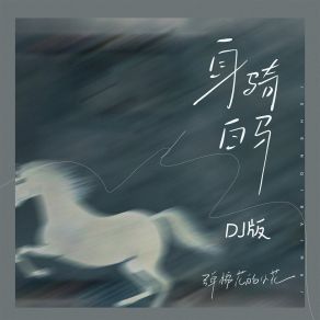 Download track 身骑白马 (Pay姐dj版) 弹棉花的小花Pay姐